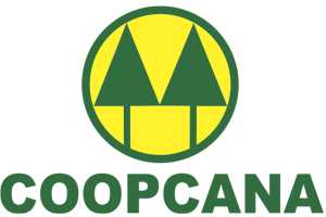 f6d42c762e70b3d5fc15846cc321f689